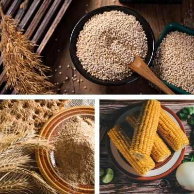 Getreide und Pseudogetreide in der Sirtfood-Diät