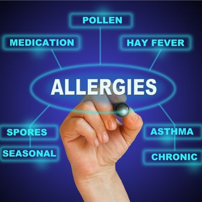 Medjool Datteln gegen Allergien